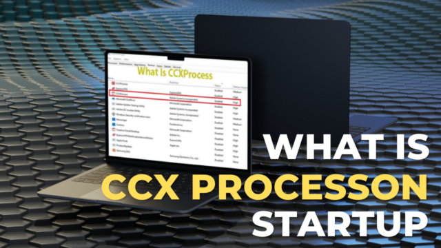 What Is CCXProcess On Startup