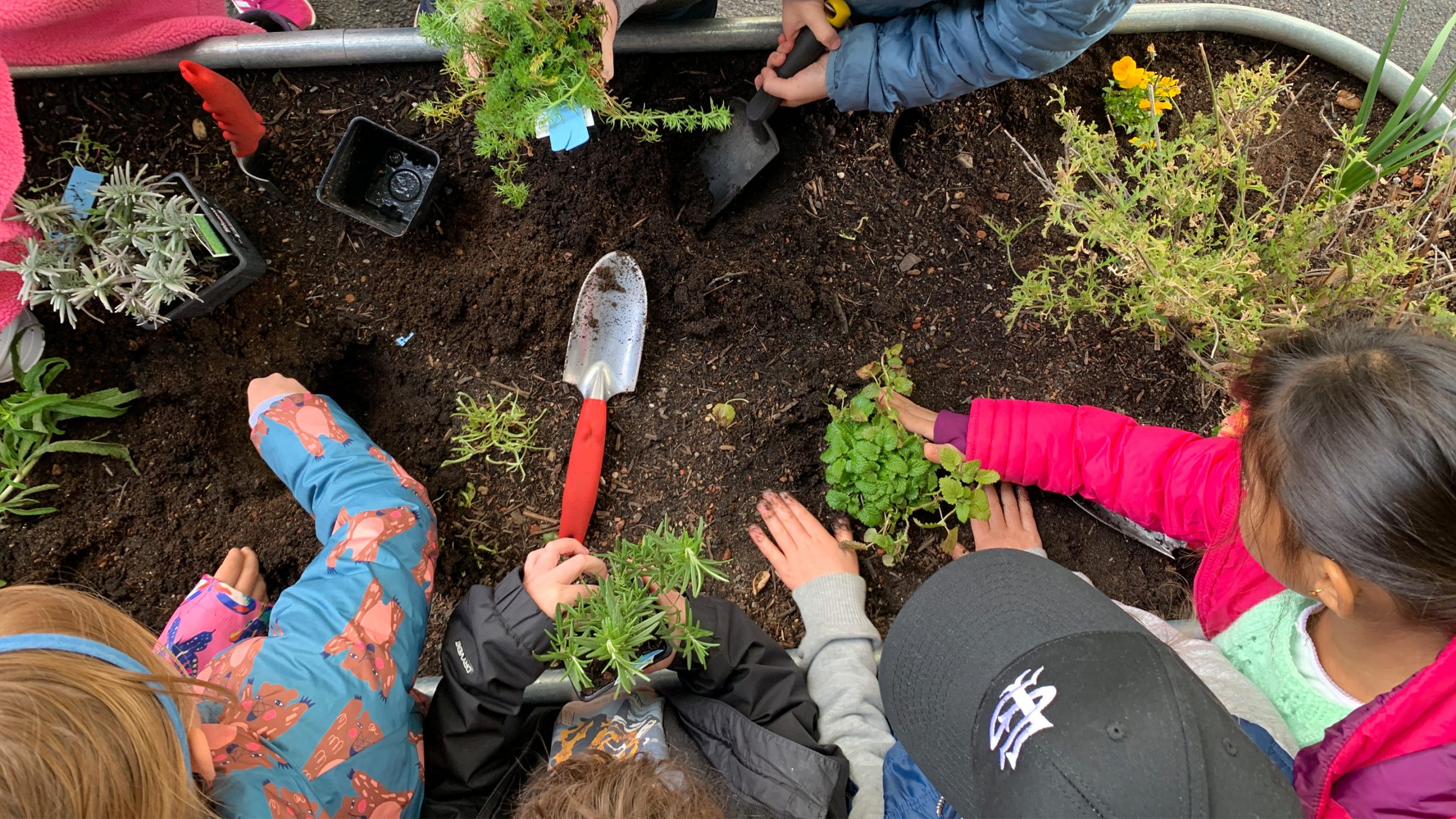 Growing Herbs and community engagement
