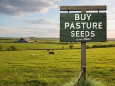 Tips to Buy Pasture Seeds: A Guide for Better Pasture Growth