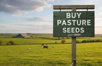 Tips to Buy Pasture Seeds: A Guide for Better Pasture Growth