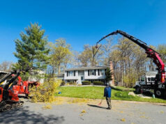 Why Crane Tree Removal Service Is Essential for Property Safety