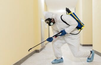 Pest Control Services in Tyngsboro: Transform Your Home Today