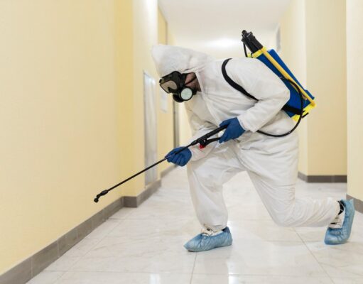 Pest Control Services in Tyngsboro: Transform Your Home Today