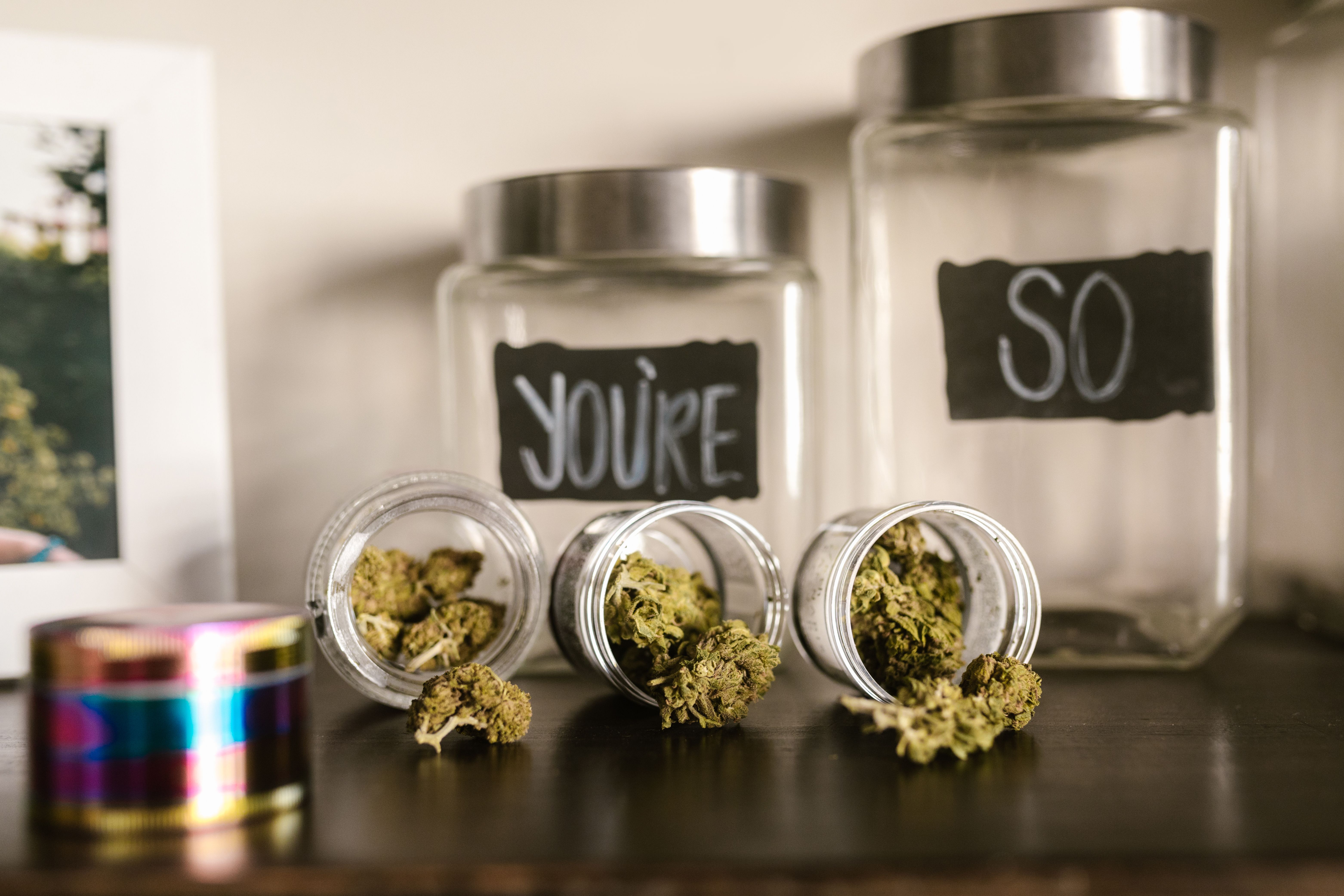 Glass jars filled with cannabis buds on a wooden shelf, illustrating premium flower packaging options